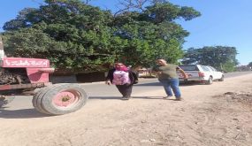 بالصور:بحضور رئيس مركز ومدينة السنطه منى صالح حمله نظافة وتسوية طبان الطرق بالوحده المحلية بالجعفريه