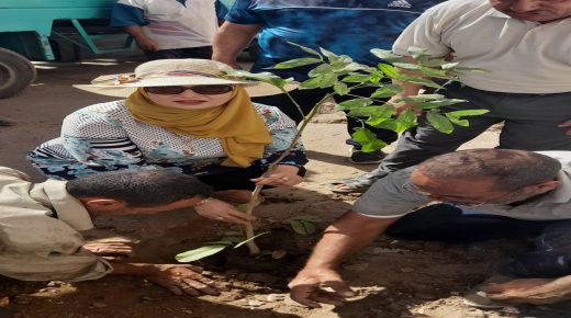 بعد عودتها من دوره تدريبيه بسقاره الاستاذه منى صالح رئيس مركز ومدينه السنطه تتابع اليوم الجمعه كل الملفات الخدميه لاستقبال عام دراسي جديد