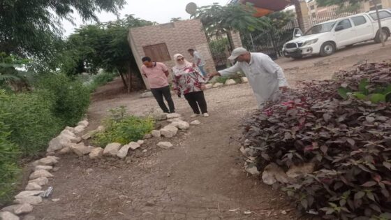 نشاط شامل بكل القطاعات بمركز ومدينة السنطه