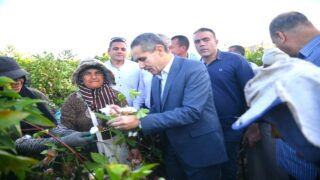 احتفالا بالعيد القومي محافظ الغربية يشهد بدء جني الذهب الأبيض
	