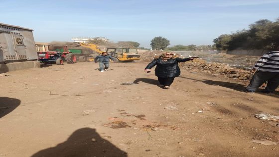 انشطه متنوعه بمركز ومدينه السنطه اليوم الاثنين 2024/1/8