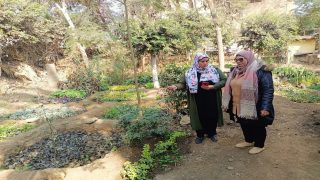 بالصور حصاد يوم من العمل الجاد بمركز ومدينه السنطه بكل القطاعات والوحدات المحليه
	