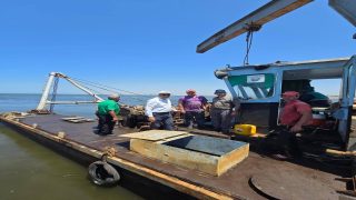 بالصور:زياره رئيس شركه الكراكات المصريه لمشروع تطهير وتكريك مصب مصرف جمصه بعد إجازة العيد
	